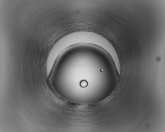 X0000112800132200909111245