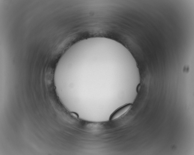 X0000112800133200909111245