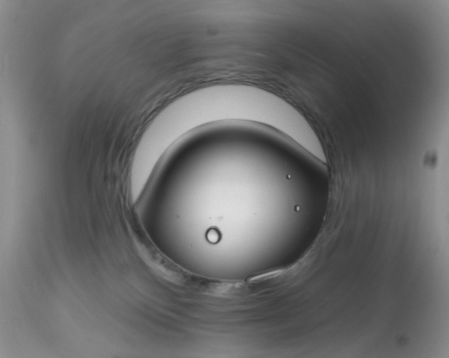 X0000112800136200909111245