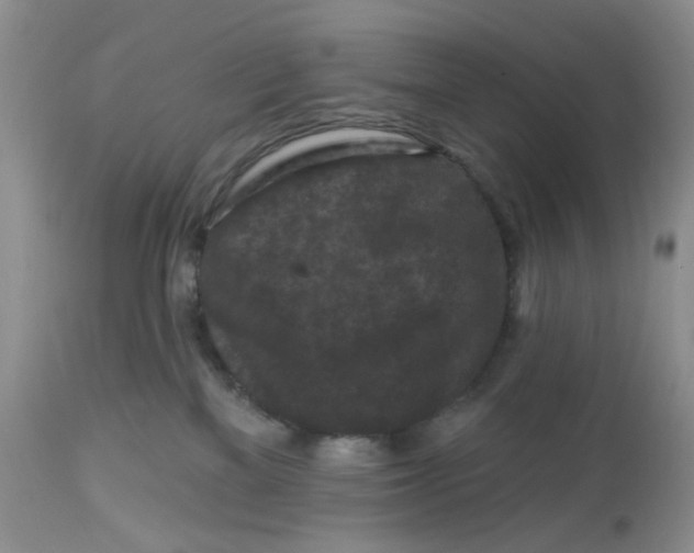 X0000112800137200909111245