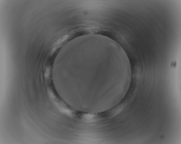 X0000112800139200909111244