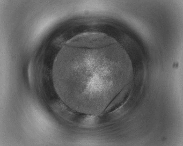 X0000112800140200909111244