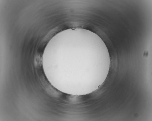 X0000112800142200909111244