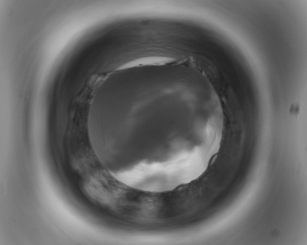 X0000112800143200909111244