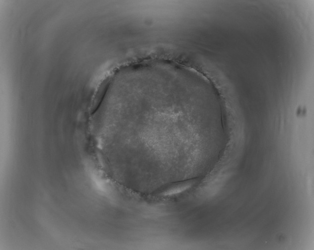 X0000112800144200909111244