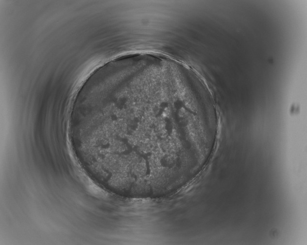 X0000112800145200909111244