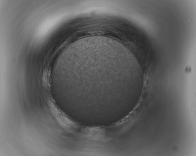 X0000112800146200909111244