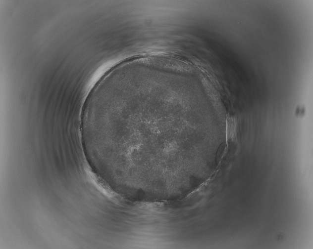 X0000112800147200909111244