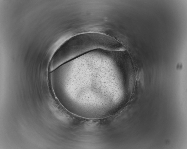 X0000112800148200909111244