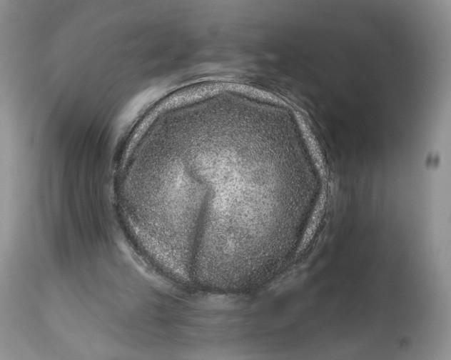 X0000112800149200909111244