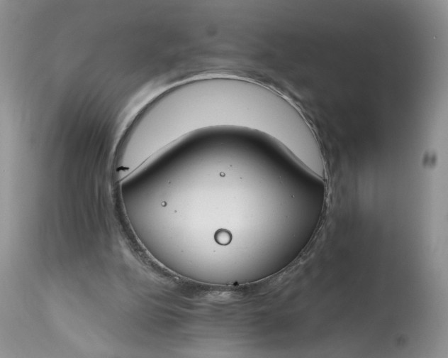 X0000112800152200909111244