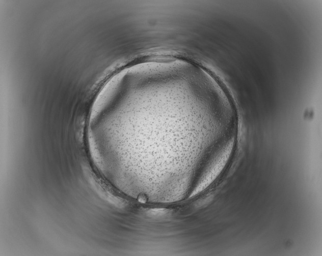 X0000112800153200909111244