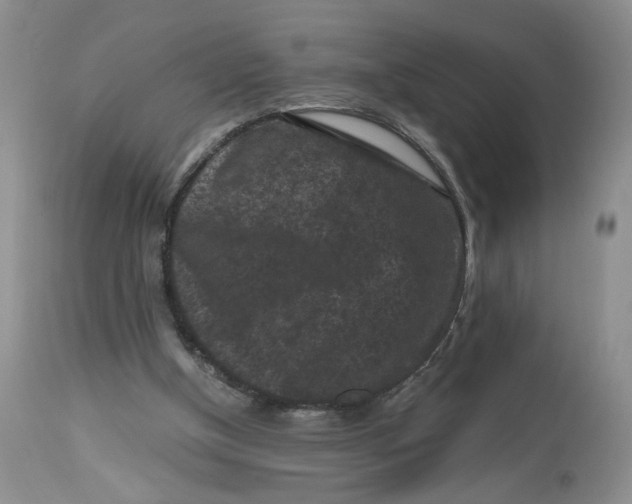 X0000112800154200909111244