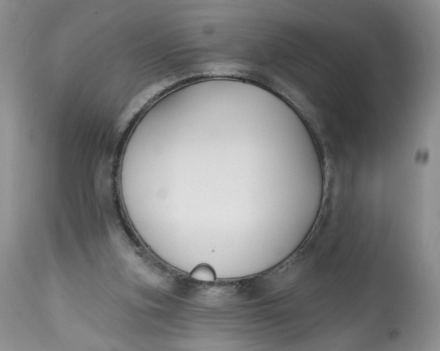 X0000112800155200909111244