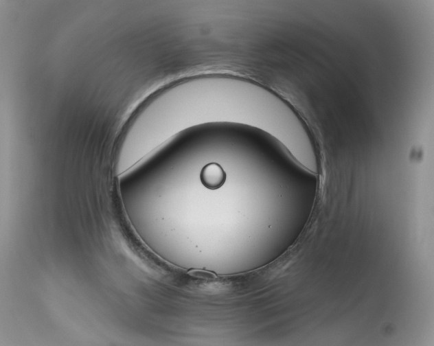 X0000112800156200909111244