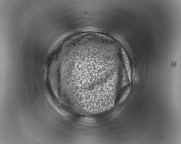 X0000112800157200909111244