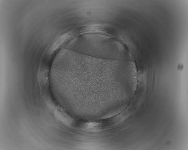 X0000112800158200909111244