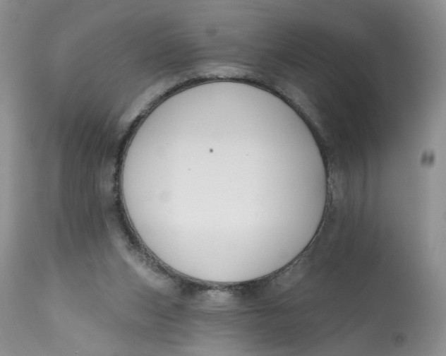 X0000112800159200909111244