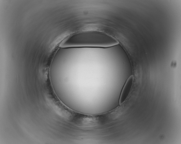 X0000112800160200909111244