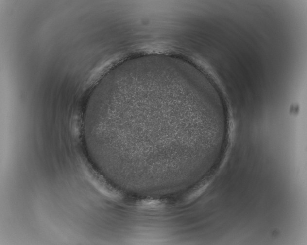 X0000112800161200909111244