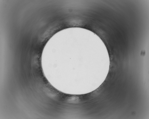 X0000112800162200909111244