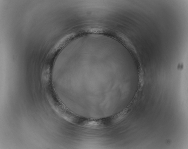 X0000112800163200909111244