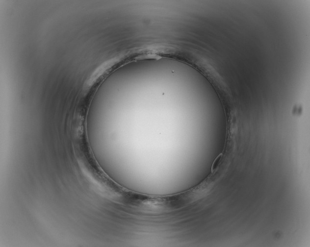 X0000112800164200909111244