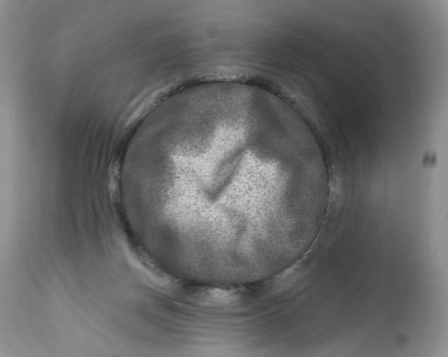 X0000112800166200909111244