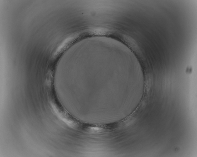 X0000112800167200909111244