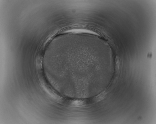 X0000112800168200909111244