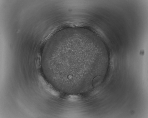 X0000112800169200909111244