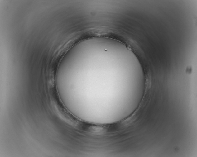 X0000112800170200909111244