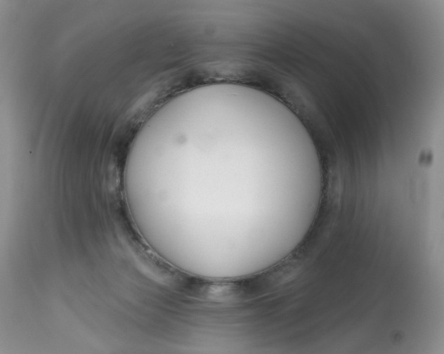 X0000112800173200909111244