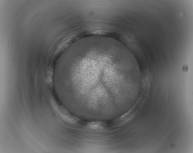 X0000112800175200909111244