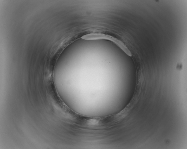 X0000112800176200909111244