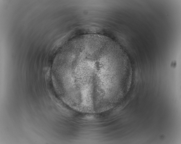 X0000112800177200909111244