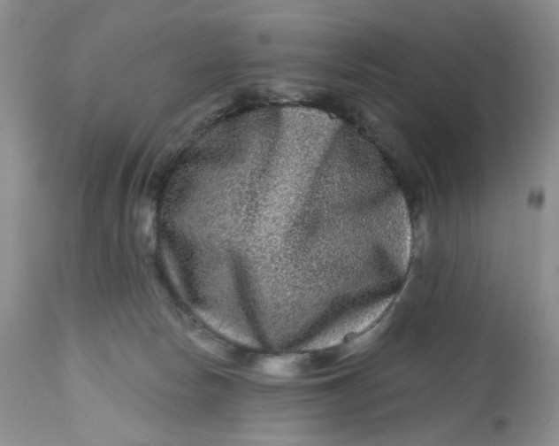 X0000112800178200909111244