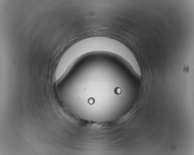 X0000112800180200909111244