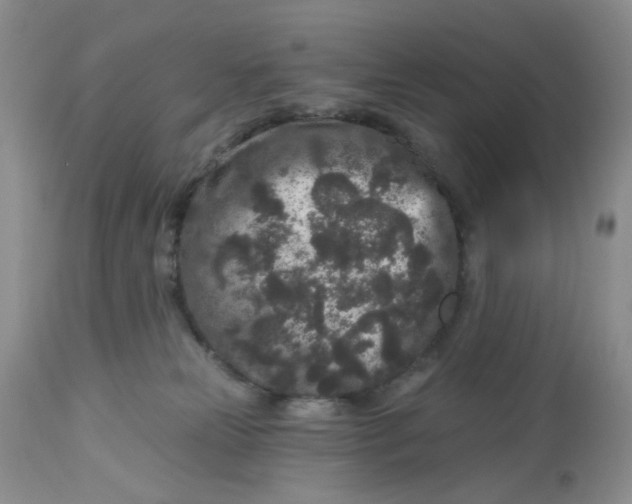 X0000112800181200909111244