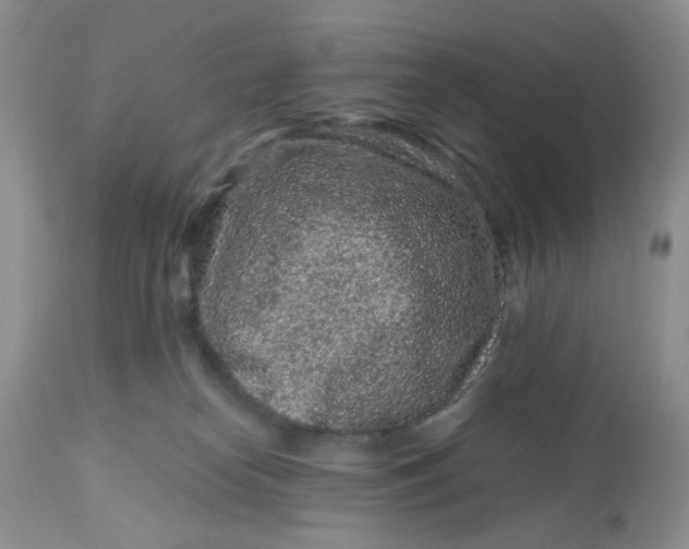 X0000112800182200909111244