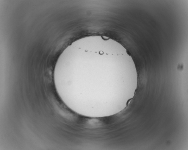 X0000112800183200909111244