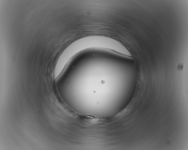 X0000112800184200909111244