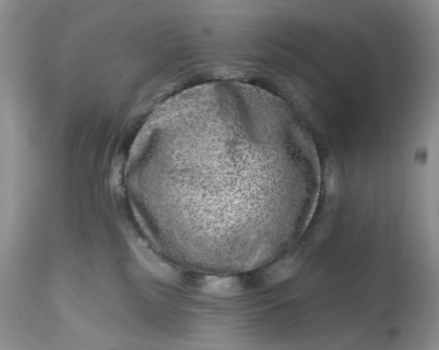 X0000112800185200909111244