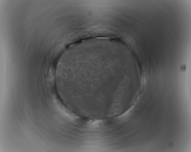 X0000112800186200909111244