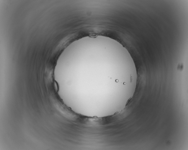 X0000112800188200909111244