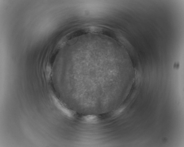 X0000112800189200909111244