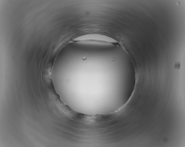 X0000112800190200909111244