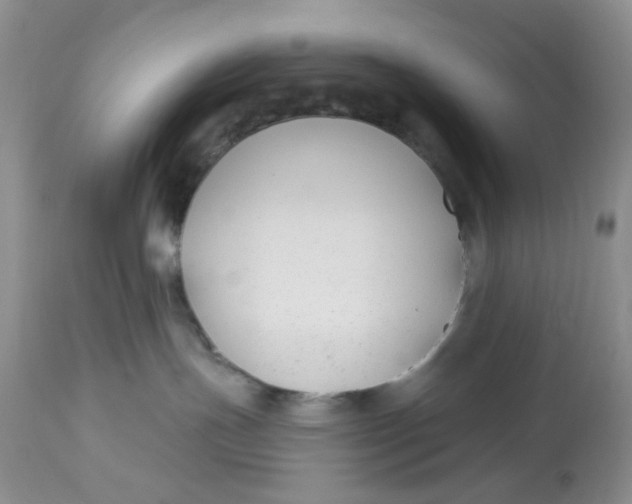 X0000112800191200909111244