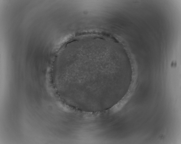 X0000112800192200909111244