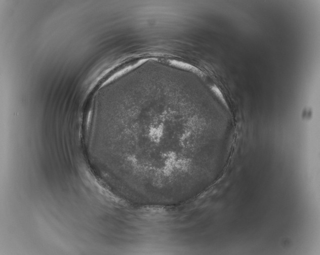 X0000112800194200909111244